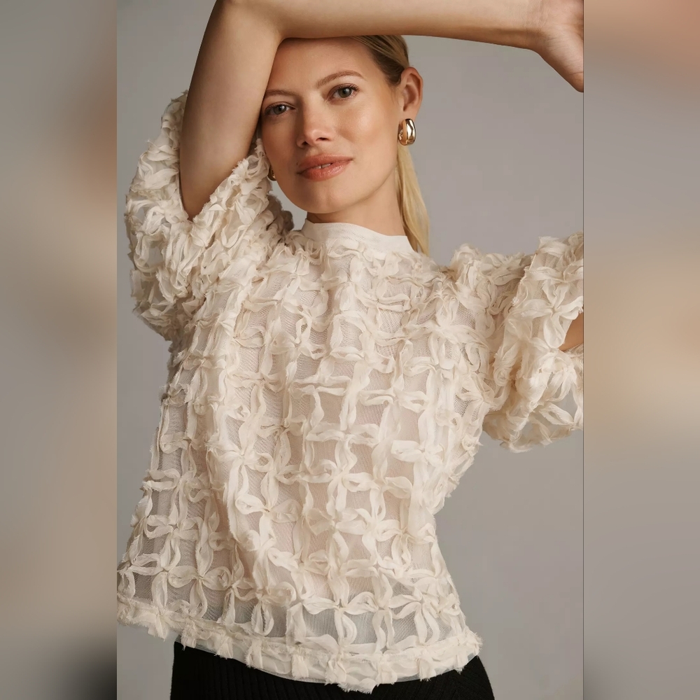 Anthro Sarah Hann Cream Tulle Karla Textured Puff Sleeve Top, S - Picture 3 of 12